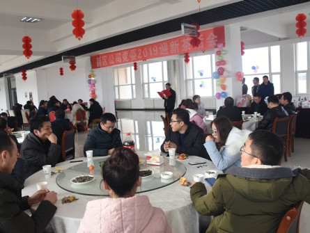 新區(qū)公司2019迎新茶話會